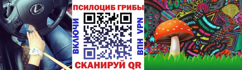 Галлюциногенные грибы Cubensis  Лесозаводск 